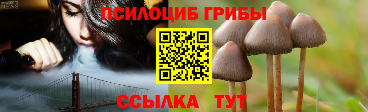 Барнаул  Галлюциногенные грибы ЛСД  Вход с VPN 